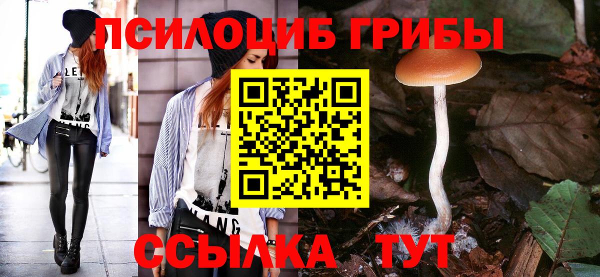Псилоцибиновые грибы прущие грибы  Вход с VPN  Малгобек  Галлюциногенные грибы Psilocybe 