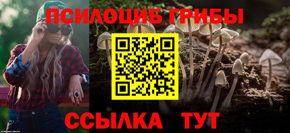 Галлюциногенные грибы прущие грибы Малгобек